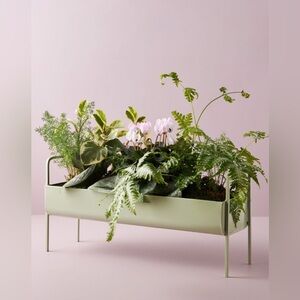 ‼️RARE‼️🎸ANTHROPOLOGIE🎸🔥NWT🔥Minty Trough Planter 💚2nd one in my closet!💚